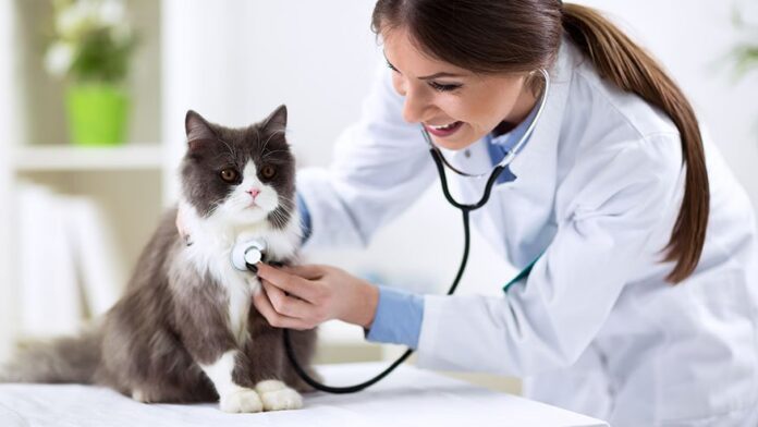 veterinarian pharmacy services